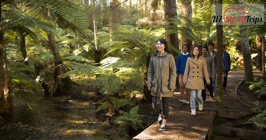 international-tourism-management-nz