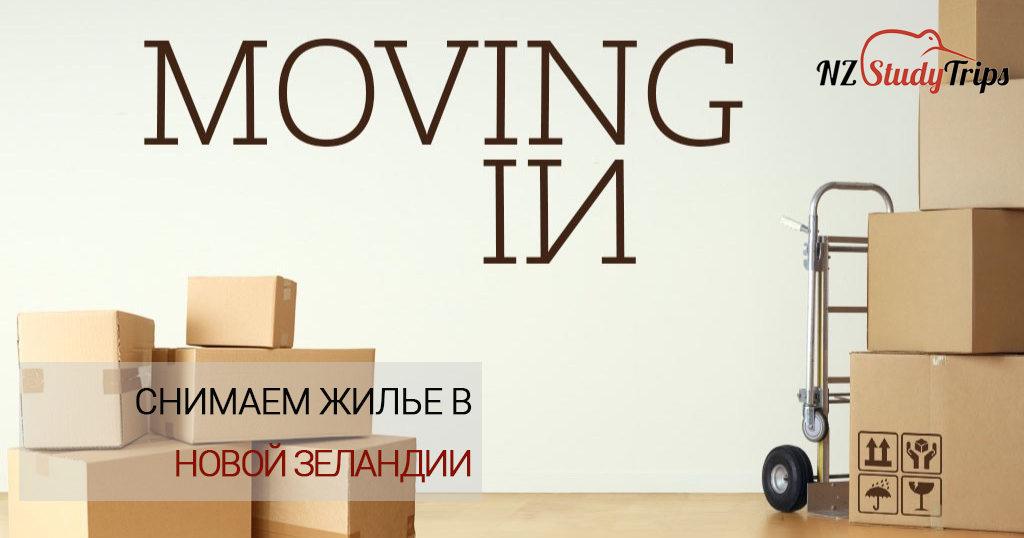 аренда жилья в новой зеландии