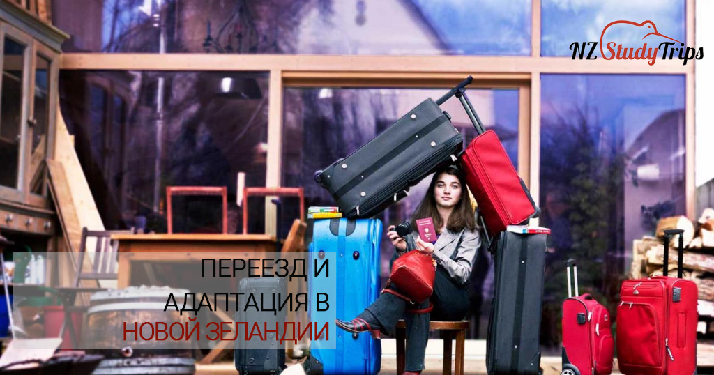 Переезд в Новую Зеландию и адаптация