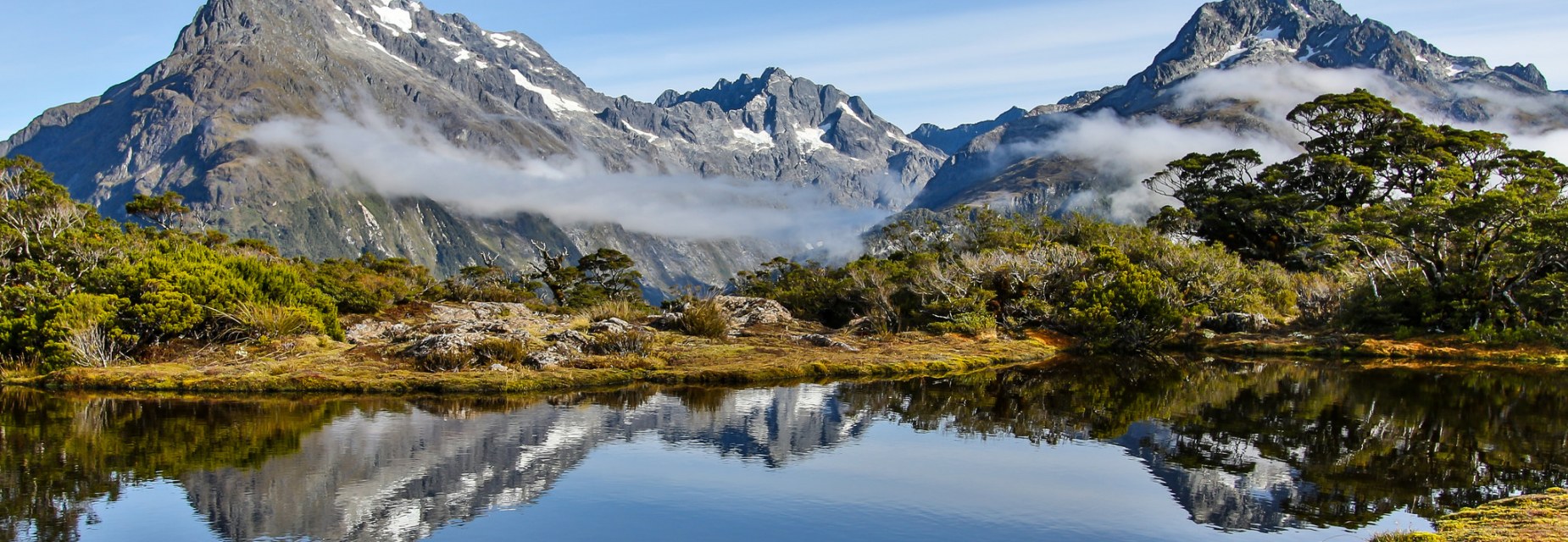 Dark Markets New Zealand