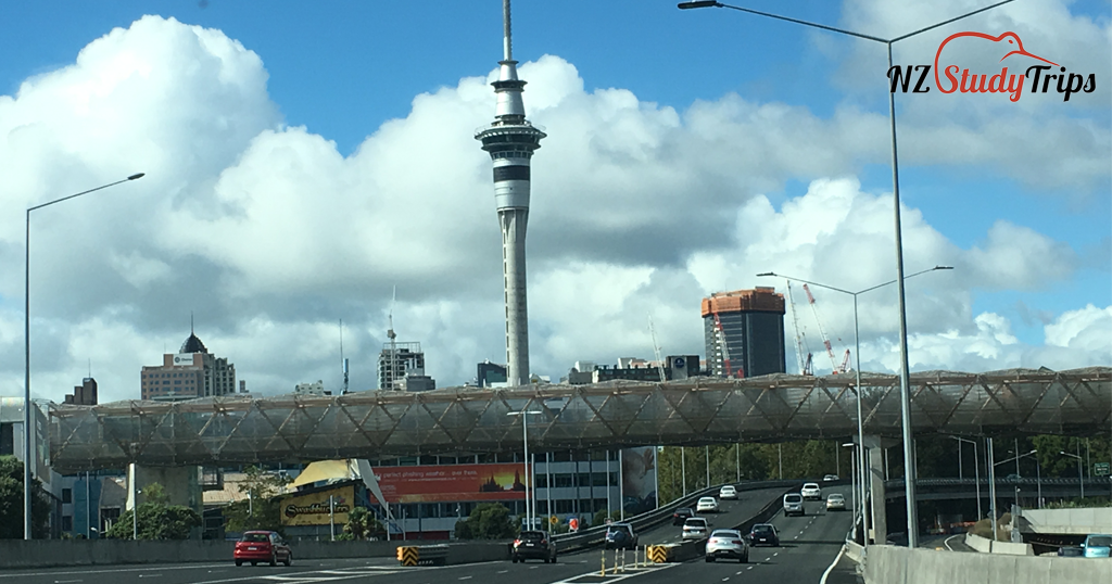 uroven-zhizni-v-new-zealand