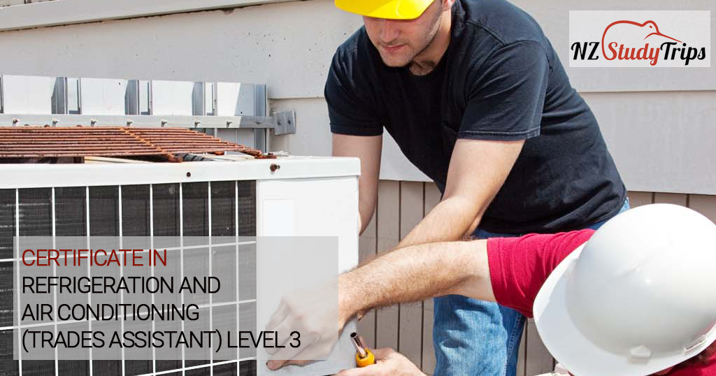 Учеба в Новой Зеландии для инженеров! NZ Study Trips