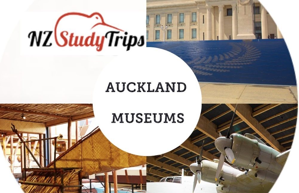 Крупные музеи Окленда - NZ Study Trips