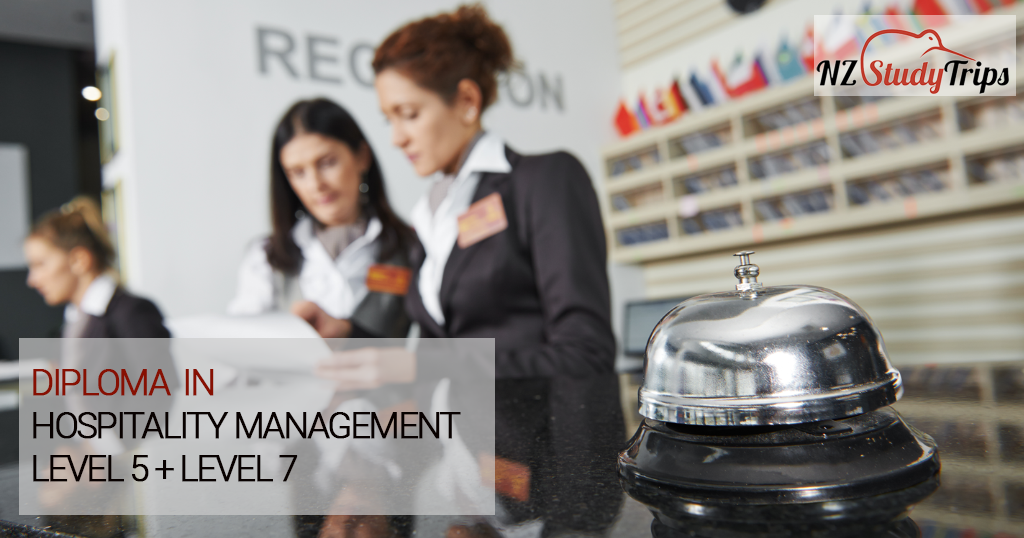 predlozhenie-vypusknikam-shkol-hospitality-management-nzstudytrips