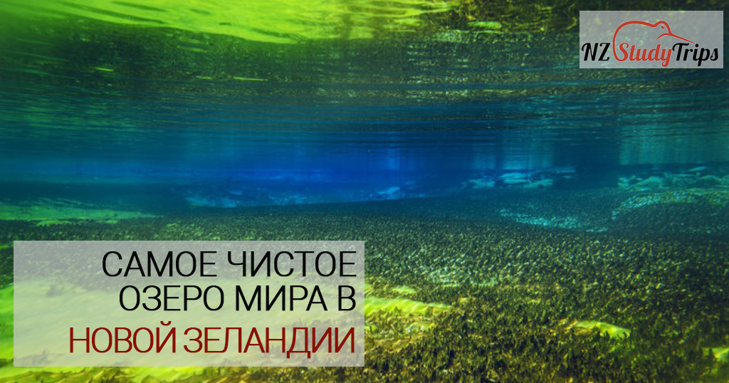 blue lake - samoe chistoe ozero mira nz