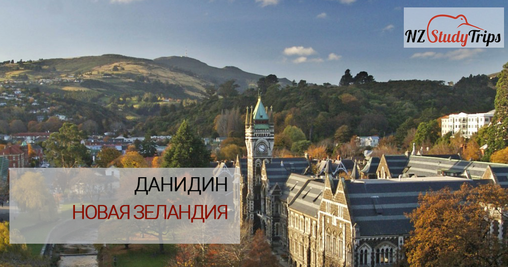 nz dunedin city nzstudytrips