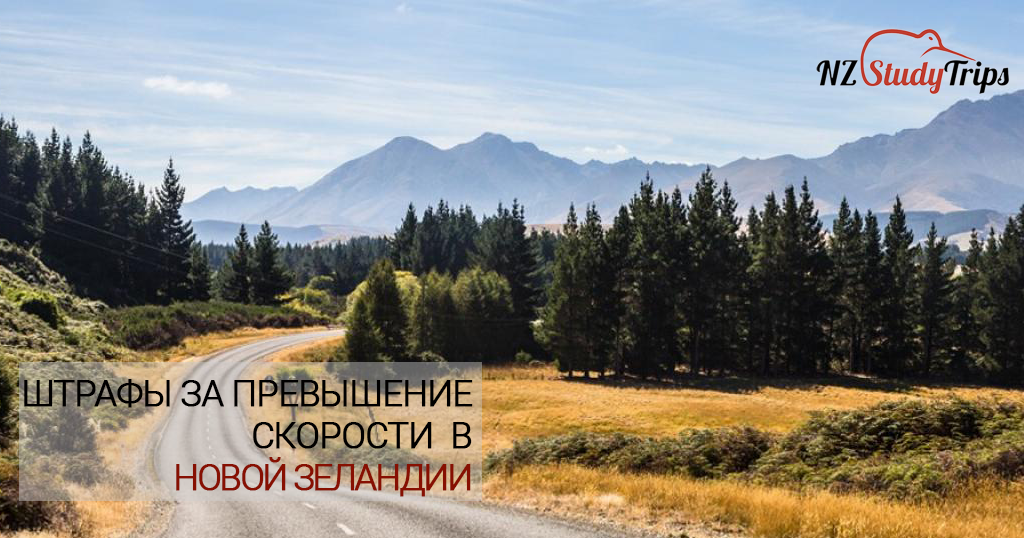 Штрафы за превышение скорости в Новой Зеландии